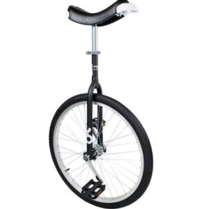 Monocycle Only One 24″